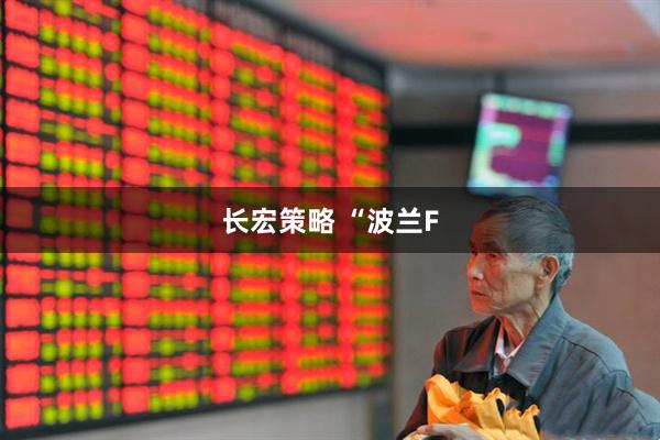 长宏策略 “波兰F