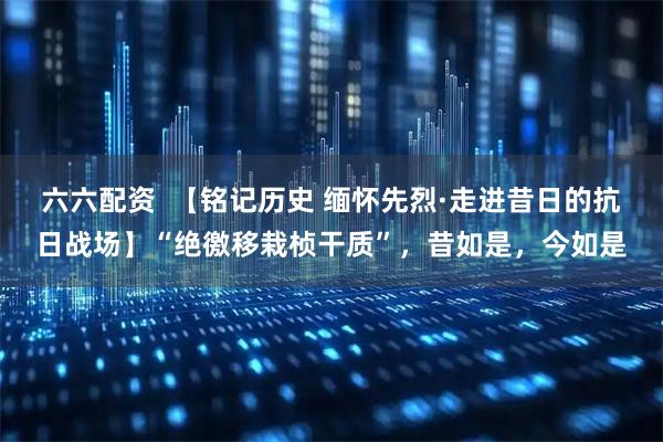 六六配资  【铭记历史 缅怀先烈·走进昔日的抗日战场】“绝徼移栽桢干质”，昔如是，今如是